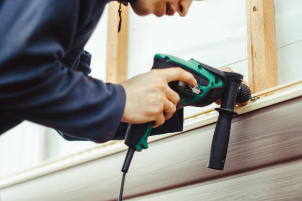 Affordable Siding Repair and Maintenance Services in Cadillac, MI
